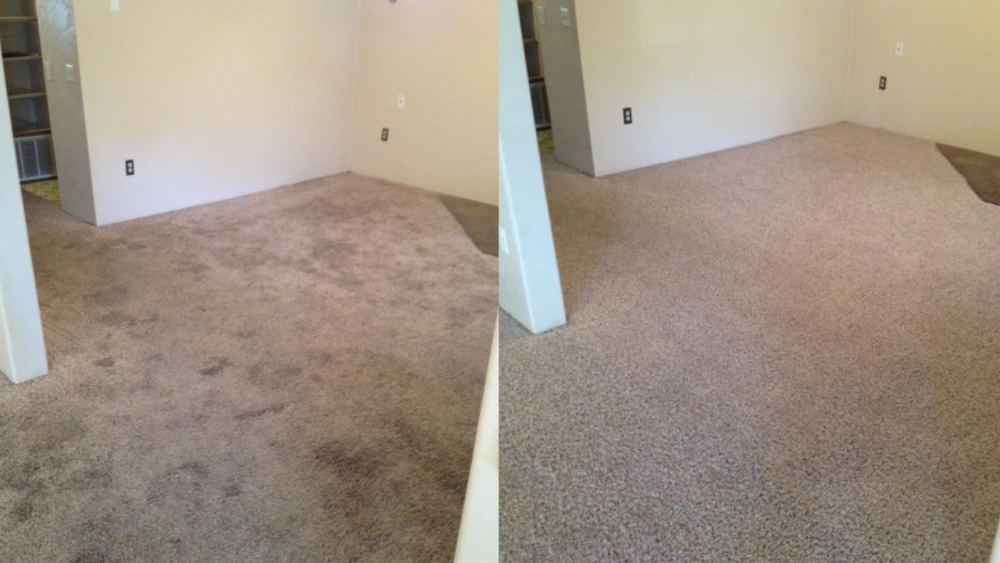 Carpet before cleaning - stained and dirty - Medford OR