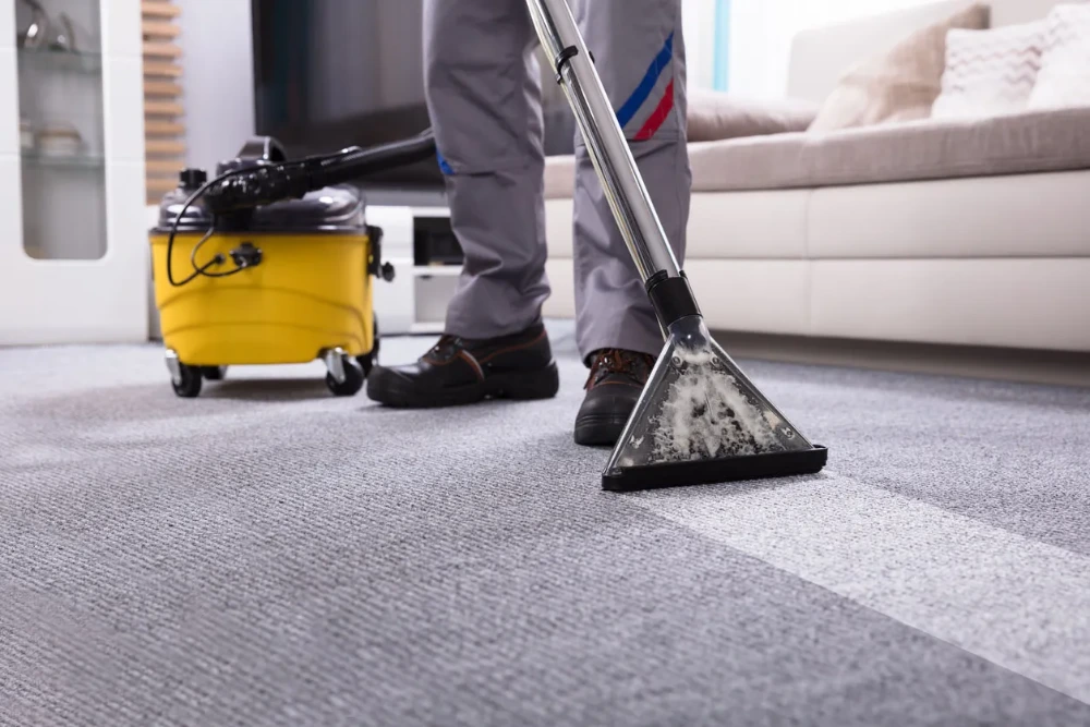 Carpet cleaning Ashland Oregon — professional hot water extraction