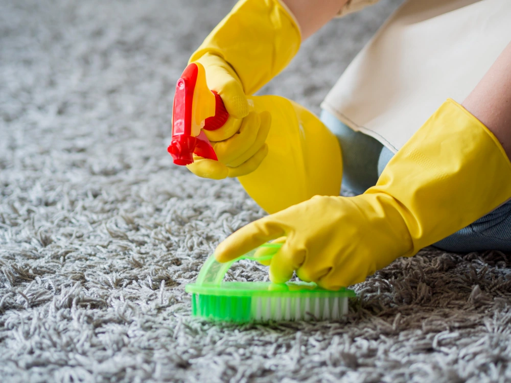 Our carpet cleaning process — Medford Oregon