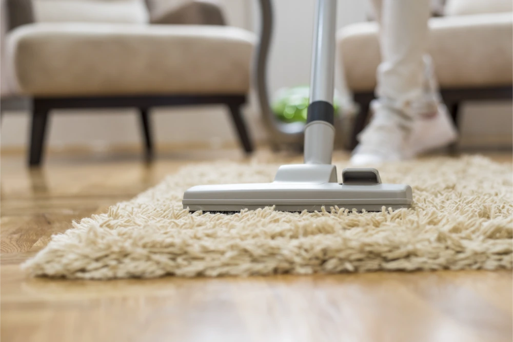 Living room area rug cleaning Medford Oregon