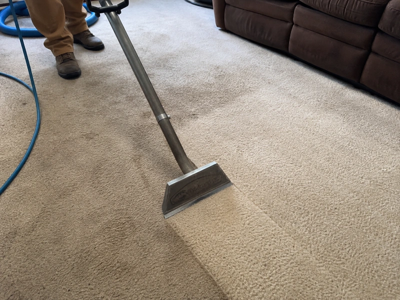 Carpet cleaning extraction wand showing the clean line during truck-mounted hot water extraction in a Medford Oregon home